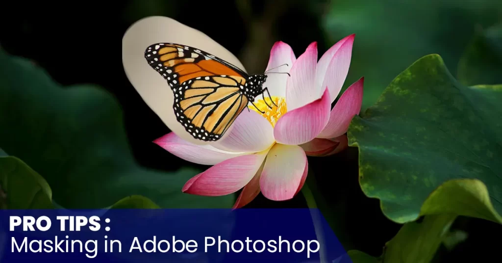 Mastering Layer Masks In Adobe Photoshop in 2024 