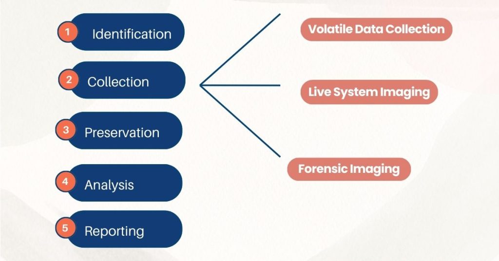 digital forensics courses